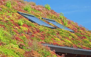 Chapel Stile living roof systems