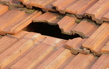 roof repair Chapel Stile, Cumbria